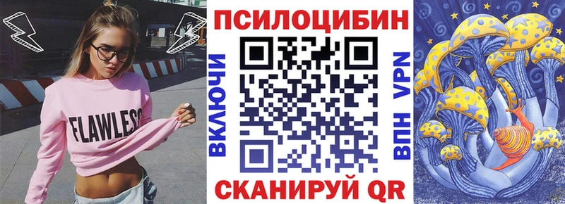 Галлюциногенные грибы Psilocybe Рубцовск