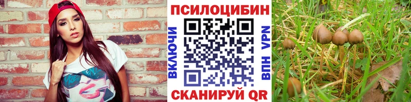 Галлюциногенные грибы прущие грибы Купить где Рубцовск